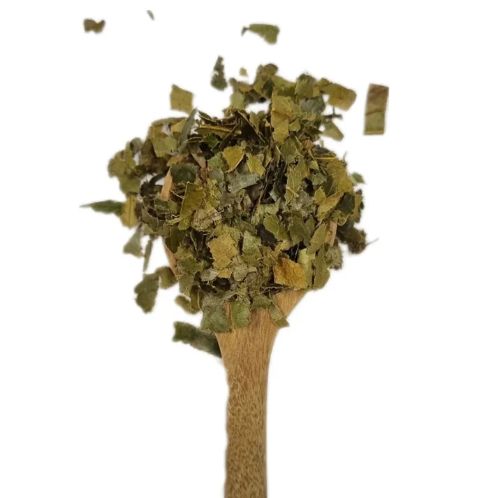 Graviola / Soursop Loose Leaf Tea - Organic