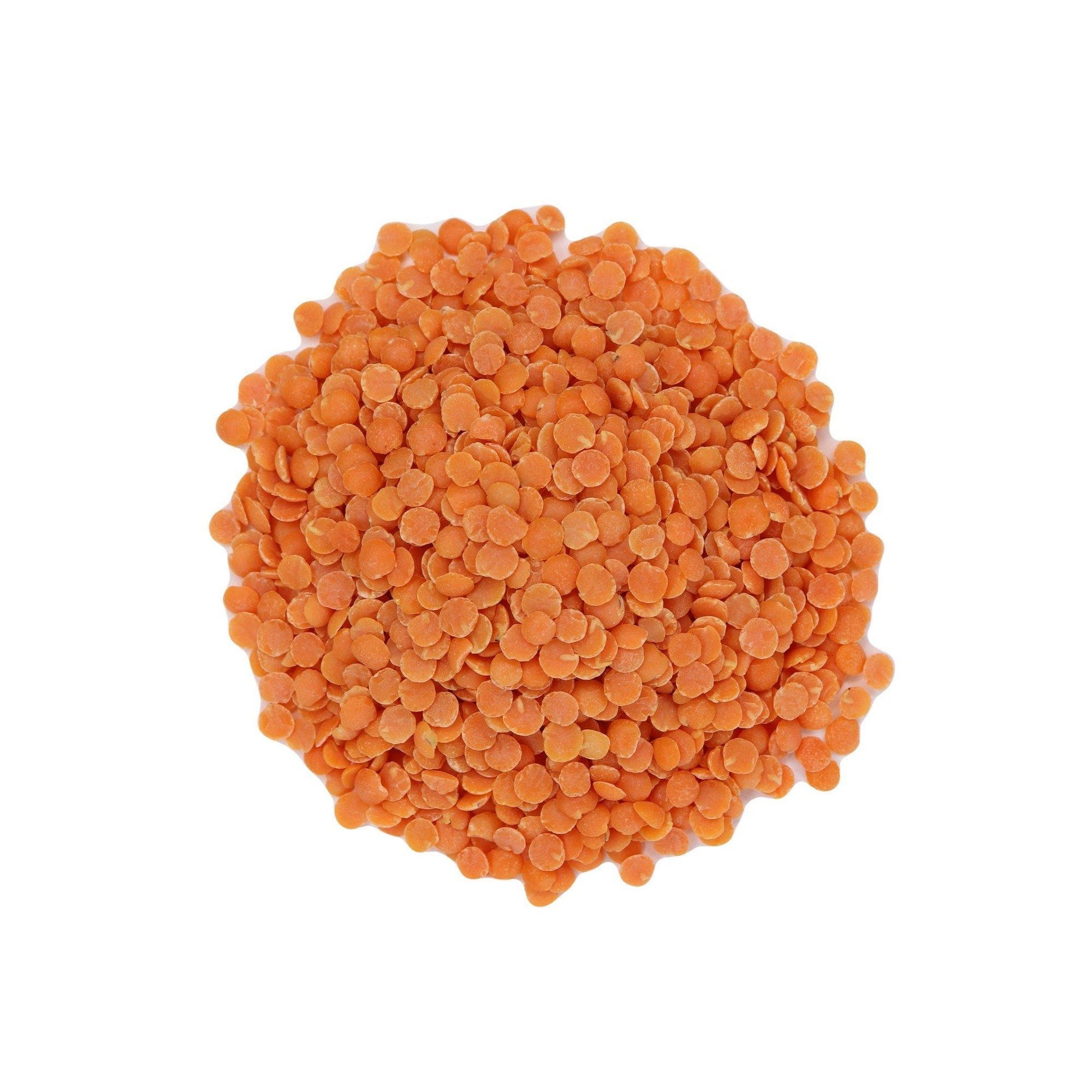 Lentils Red Split - Organic - Pantree